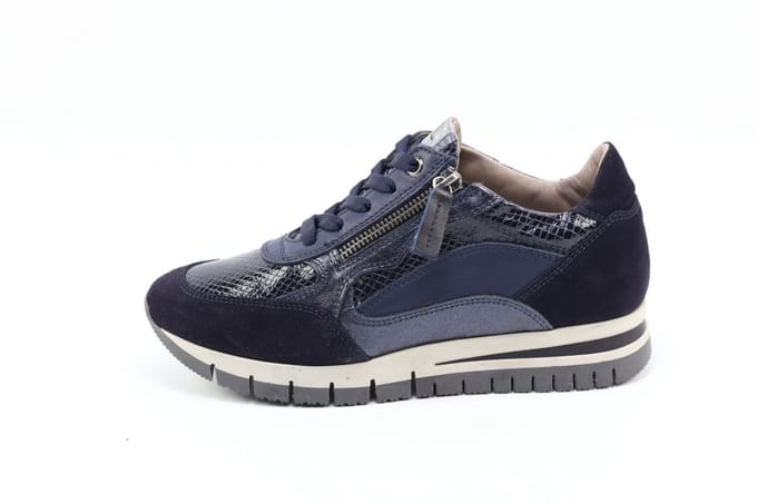 DLSport 6725 versione 07
