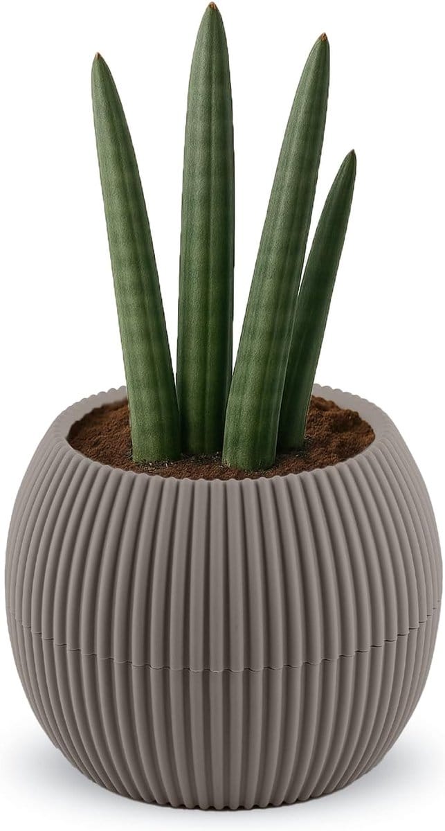 Omgoods - 15CM Zelfwaterende Bloempotten met Afvoer