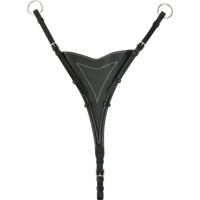 Volledig martingale schacht Eric Thomas Pro