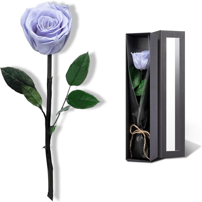 Eeuwigdurende Blauwe Rozen - Echt Geconserveerd Bloemencadeau