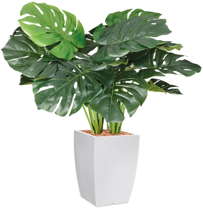 Kunstplant Monstera in Genesis vierkant H90 cm