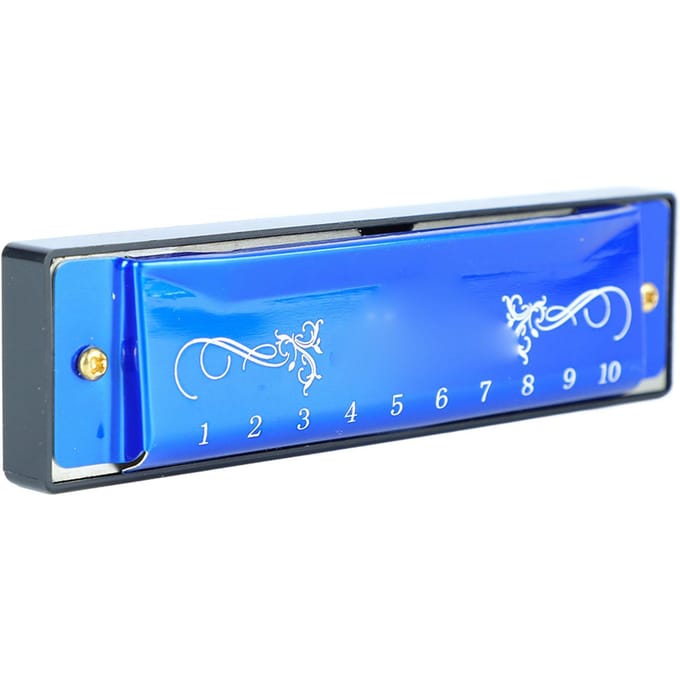 Harmonica 10 Gaten 20 Tonen C Toets Professioneel Standaard Mondharmonica met Koffer voor Kind Beginner Blauw blue