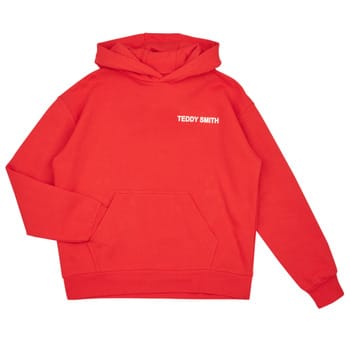 Capuchon sweaters Teddy Smith S-REQUIRED G JR