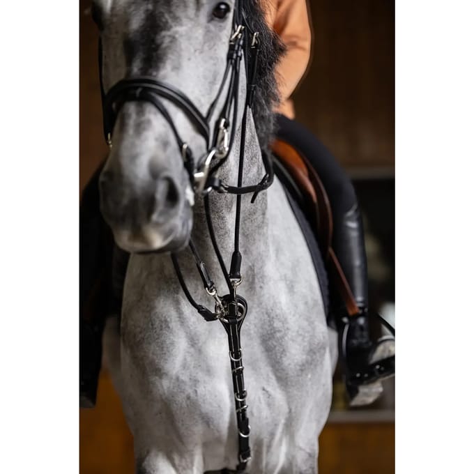 Gogue voor paard HFI