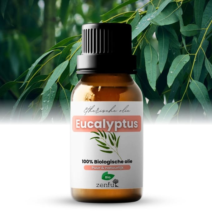 Eucalyptus olie - 100% Puur - Biologisch - Etherische olie - Natuurlijk - Bad - Sauna - Diffuser - Aromatherapie - 10 ml