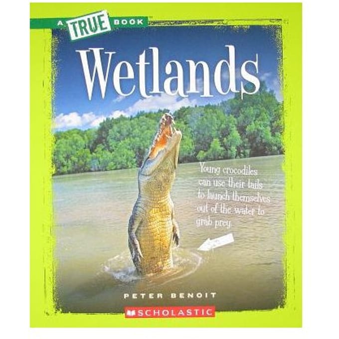 Wetlands - PETER BENOIT