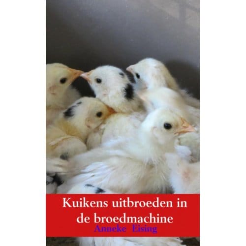 Kuikens Uitbroeden In De Broedmachine - Anneke Eising