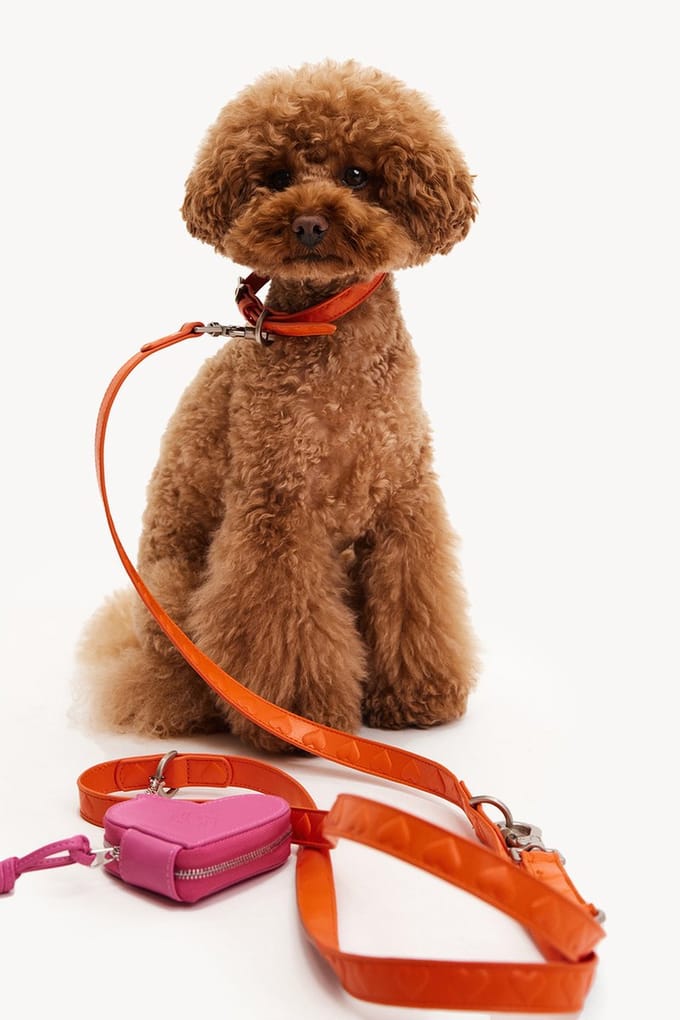 Dogguo Heart Leash - Hondenriem - Oranje