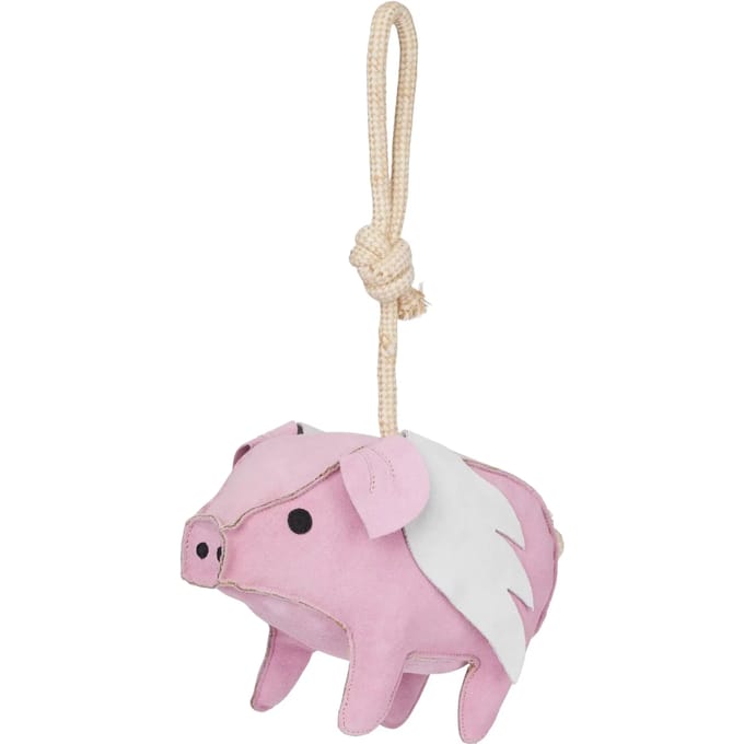 Paard speelgoed LeMieux Flying Pig