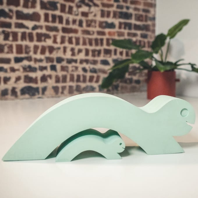 MOES Turtle (stimuleren creativiteit en motoriek)