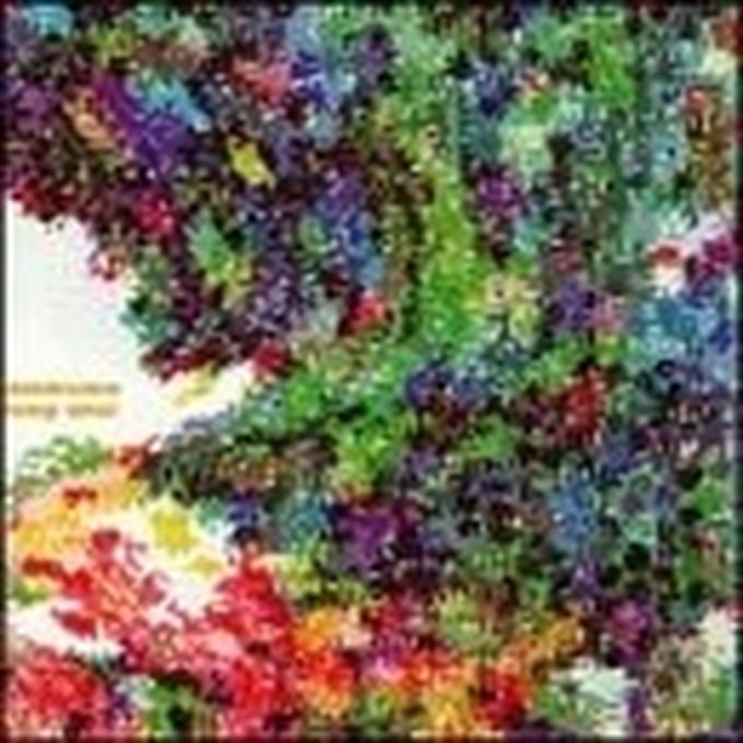 Doldrums - Feng Shui (CD)