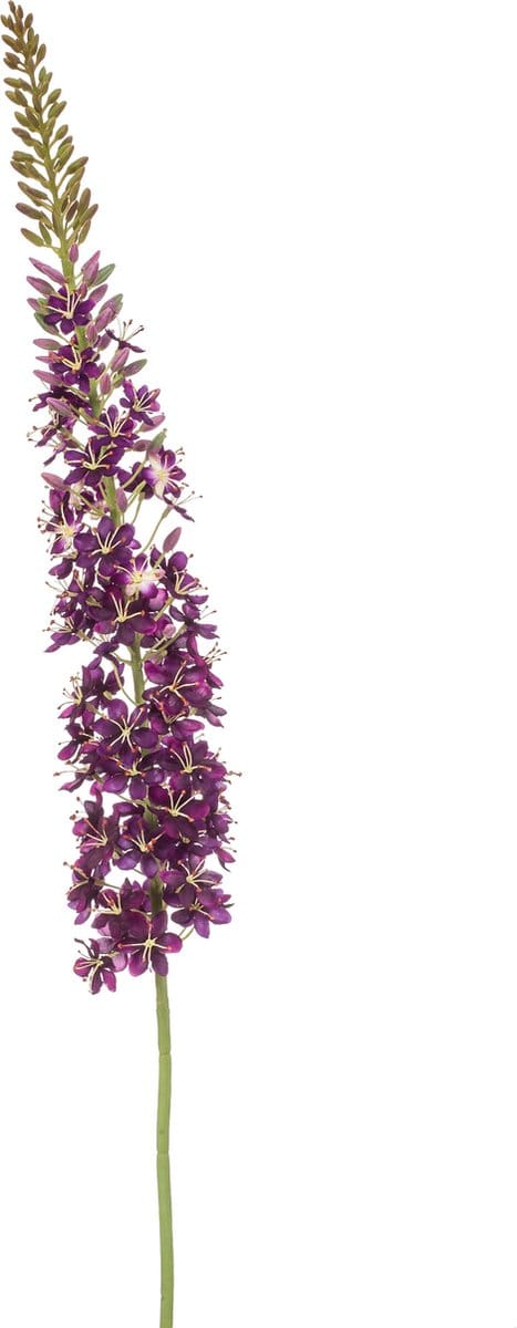 Emerald - Kunstbloem Eremurus XL 130cm paars - Kunstplant voor binnen