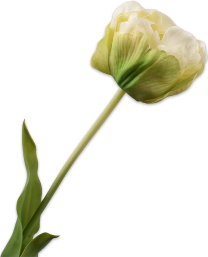 Silk-ka - Kunstbloem - tulp - groen - H66 cm