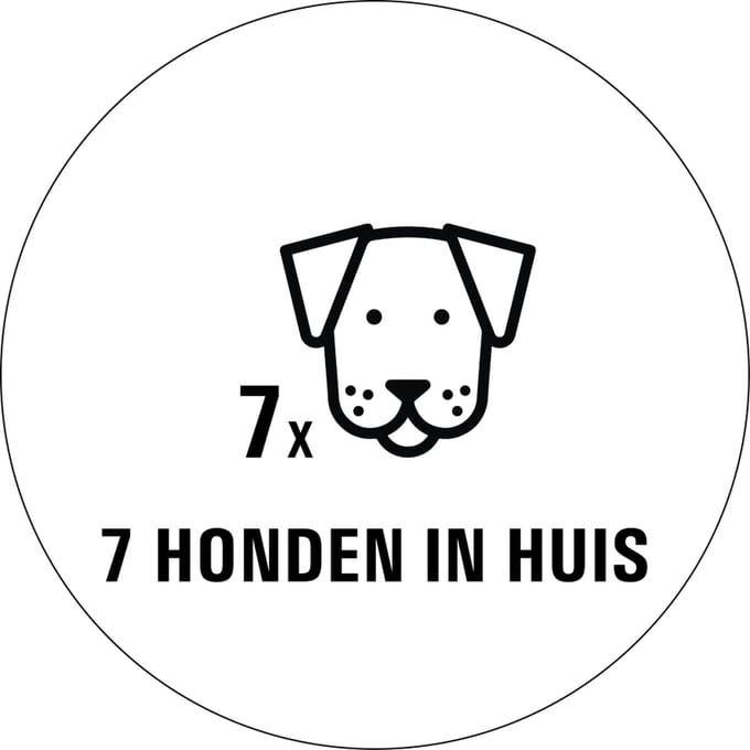 Honden in huis sticker - 80 x 80 mm 7