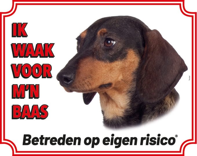 Teckel Waakbord - Ik waak voor mijn baas Korthaar