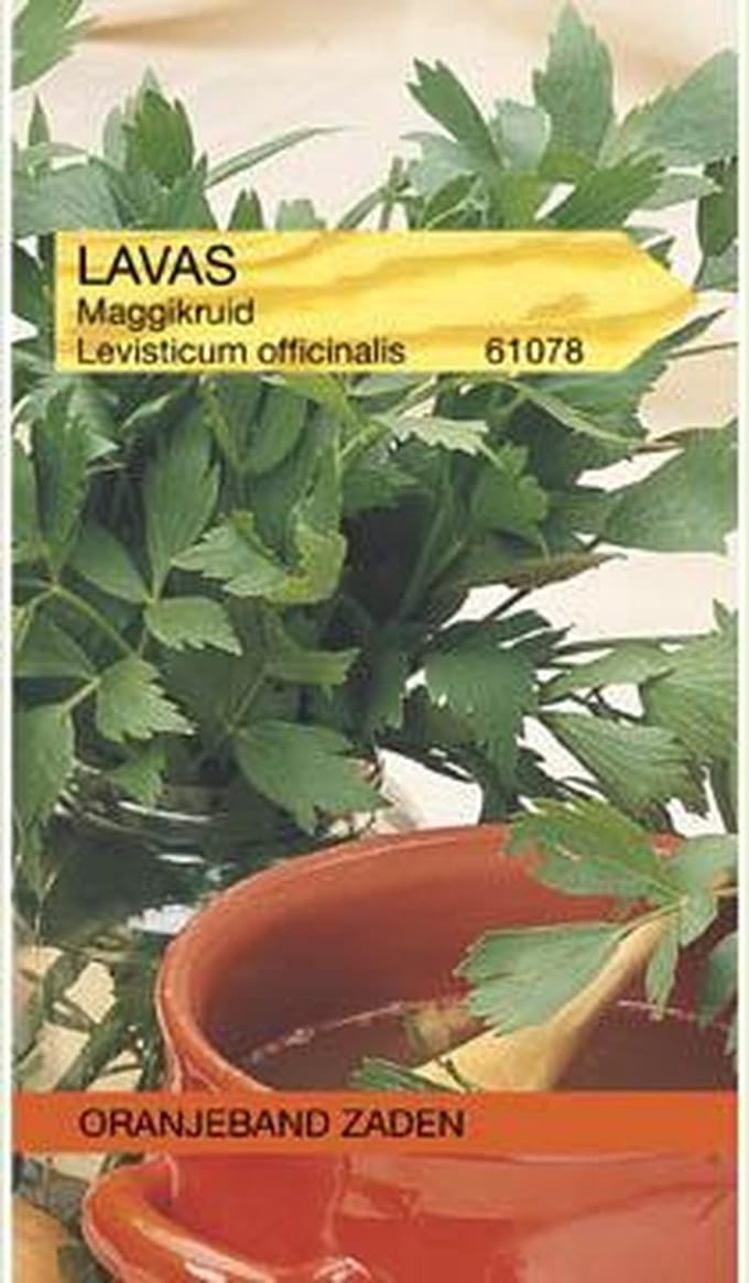 Lavas, Maggiplant Zaden, Kruidenzaad