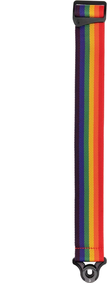 D'Addario PWSAL411 Auto Lock Polypropyleen Gitaarband Regenboog