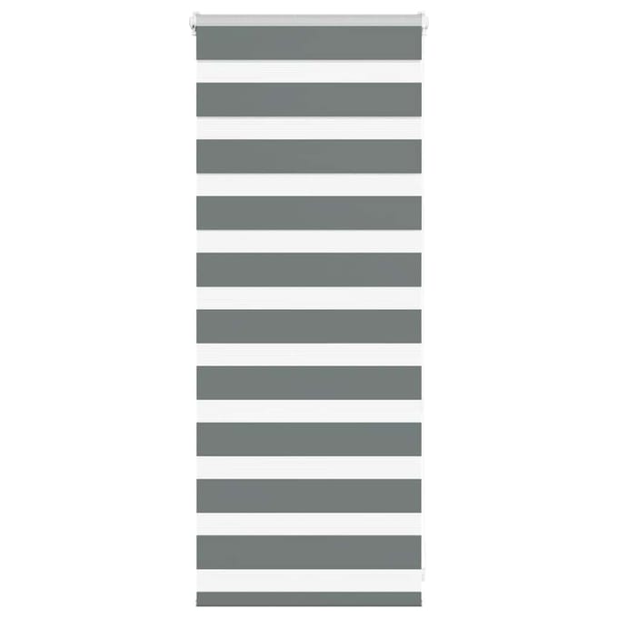 vidaXL - Zebra - rolgordijn - 55x100 - cm - stofbreedte - 50,9 - cm - donkergrijs