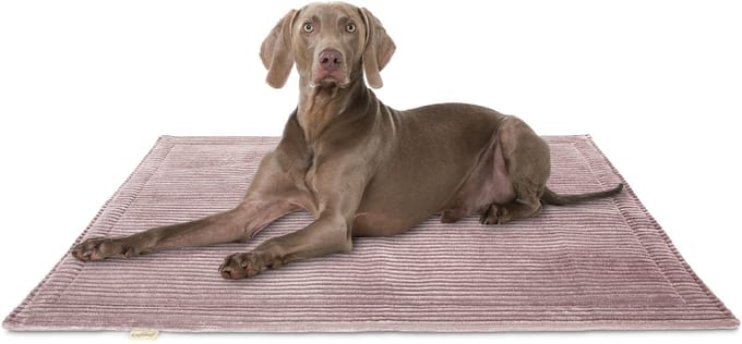 Knuffelwuff Cord Hondenkleed Timor 80x60cm Roze