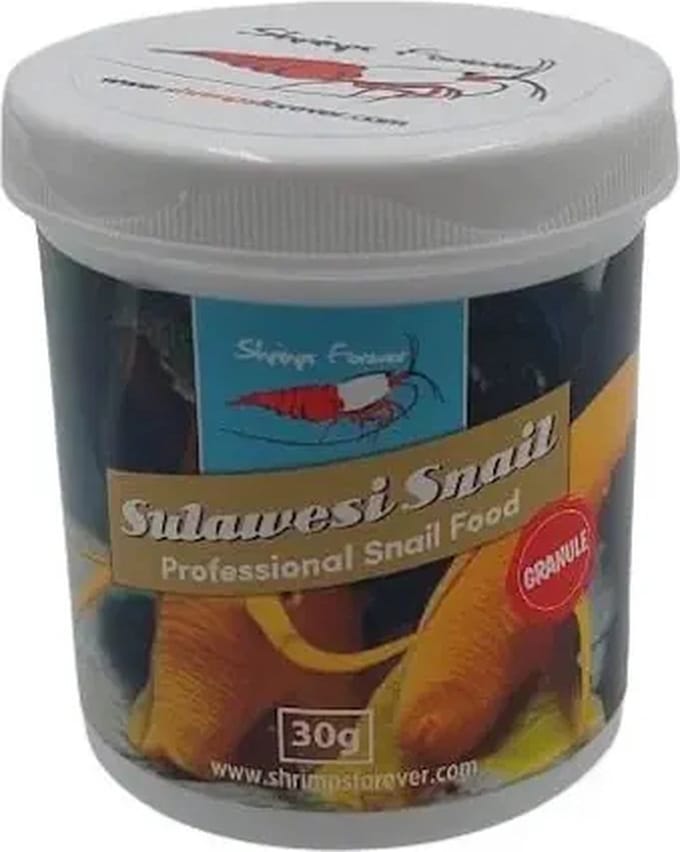 Shrimps Forever Sulawesi Snail Type: Poeder