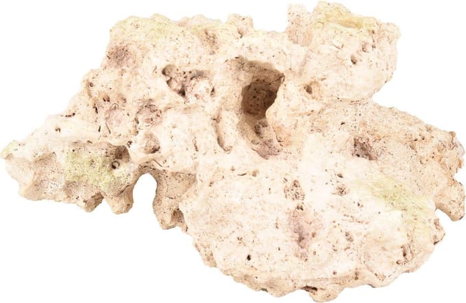 Flamingo - Aquarium Rocco koraal - Beige - 18 x 13.5 x 9.5 cm