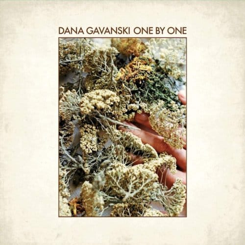 One By One - Dana Gavanski