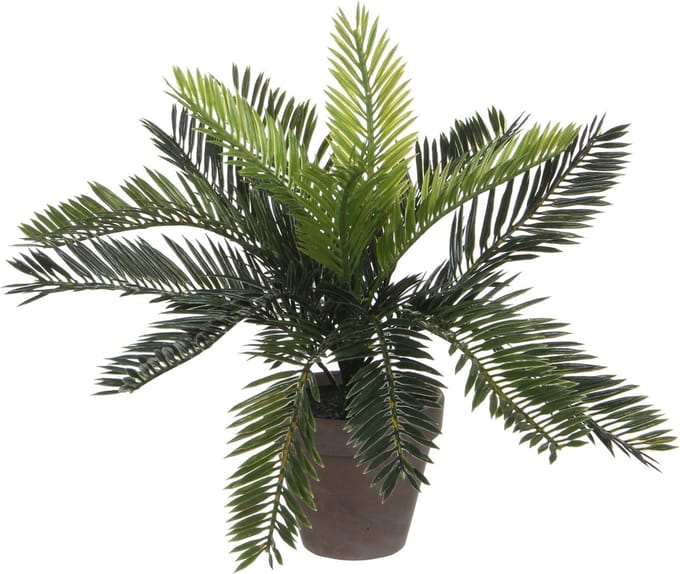 Mica Decorations Cycas Palm Kunstplant in Bloempot Stan - H33 x Ø34 cm - Groen