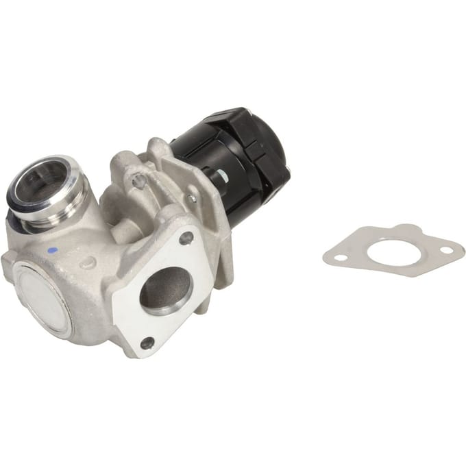 Borg Warner EGR-klep WAHLER 710929D