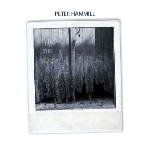 From The Trees - Peter Hammill