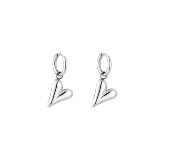 Wild heart oorbellen Zilver