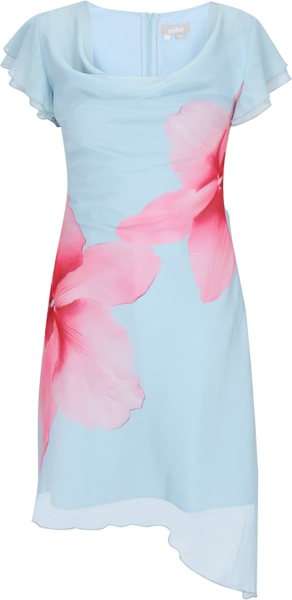 usha Dress