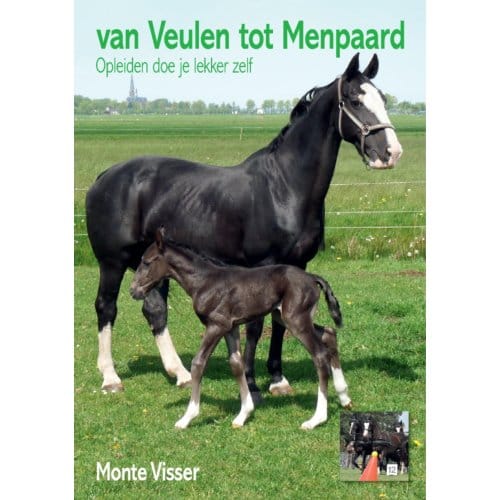 Van Veulen Tot Menpaard - Monte Visser
