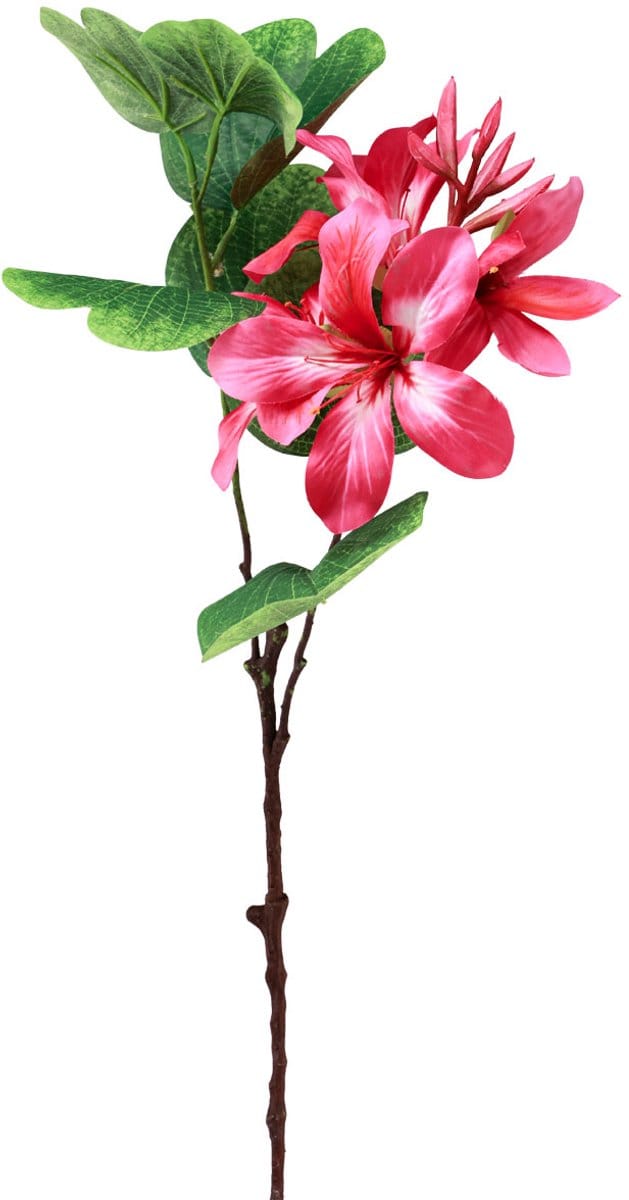 Kunstorchidetak Bauhinia Roze kunstplant 62cm