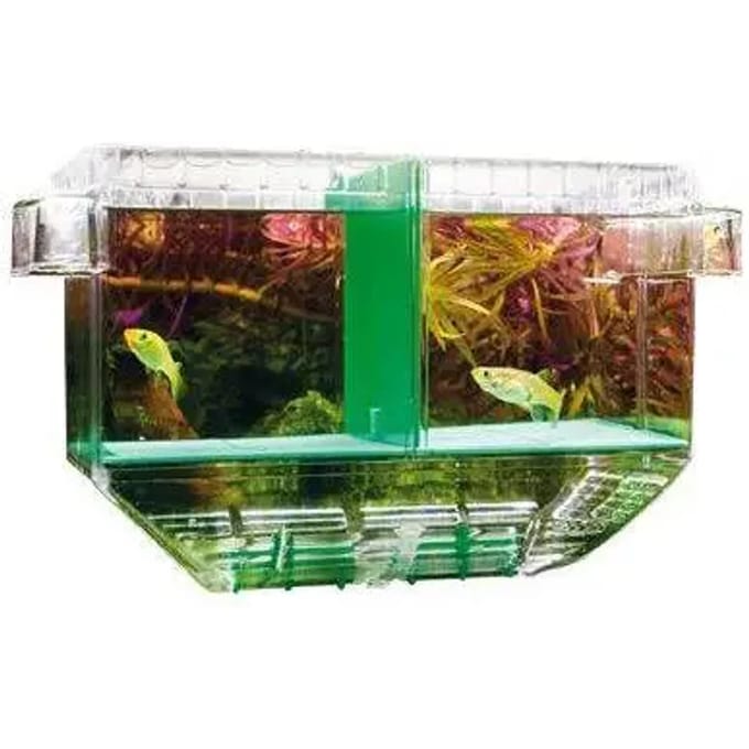 Hobby kweekbak Nido 1 - 19,5 x 11 x 19 cm