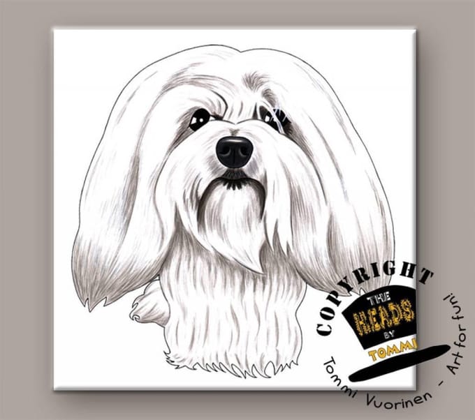 Tegel Hond Coton Tulear