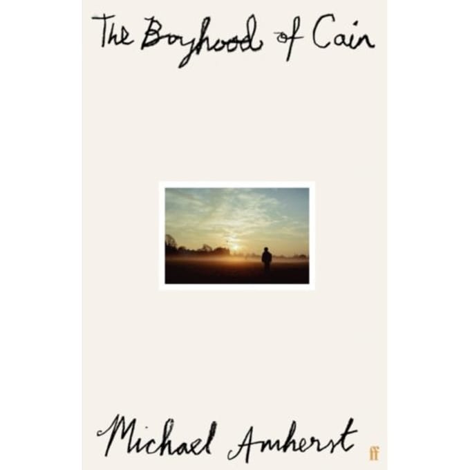 The Boyhood Of Cain - Michael Amherst