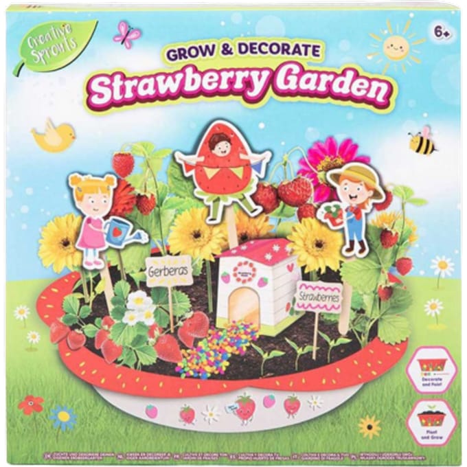 Creative Sprouts Grow & Decorate Strawberry Garden Kit