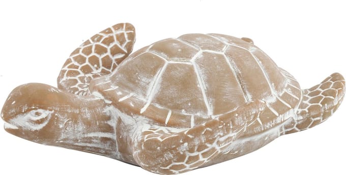 Zeeschildpad Nabil L grey wash