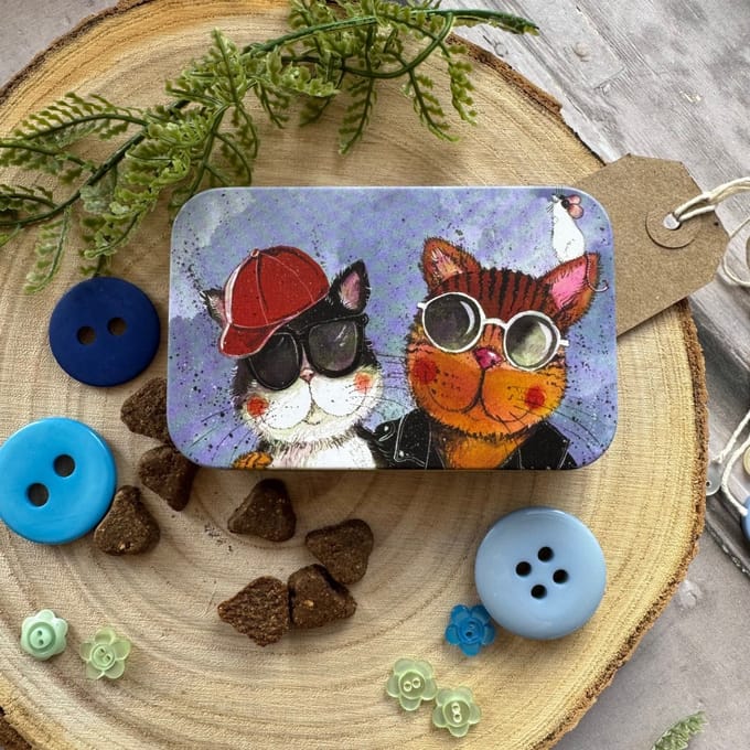 Alex Clark Rectangle Tin Cool Cats ~ Langwerpig opbergblikje katten
