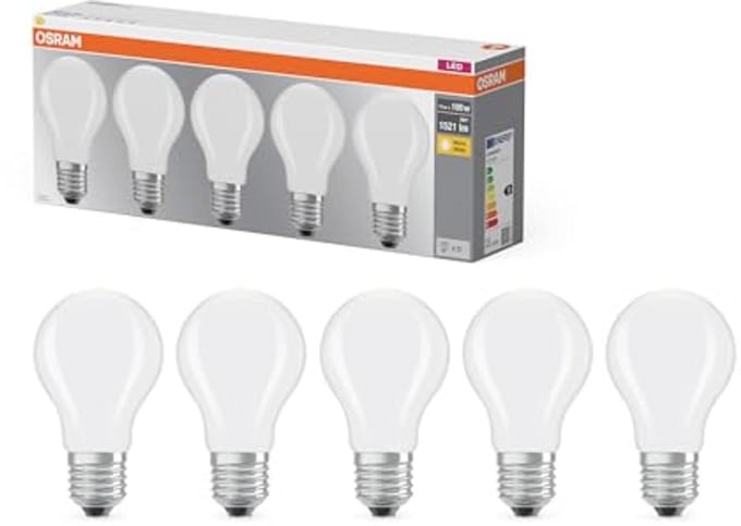 E27 LED Filament A100 Lampvorm 11W 2700K Warm Wit - Dimbaar, Mat, 1521 lm