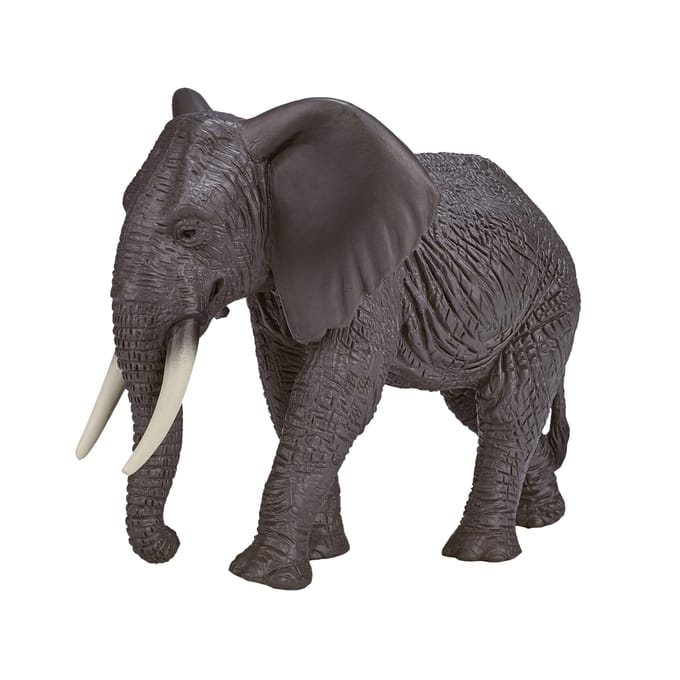 Mojo - Wildlife African Elephant - 387189