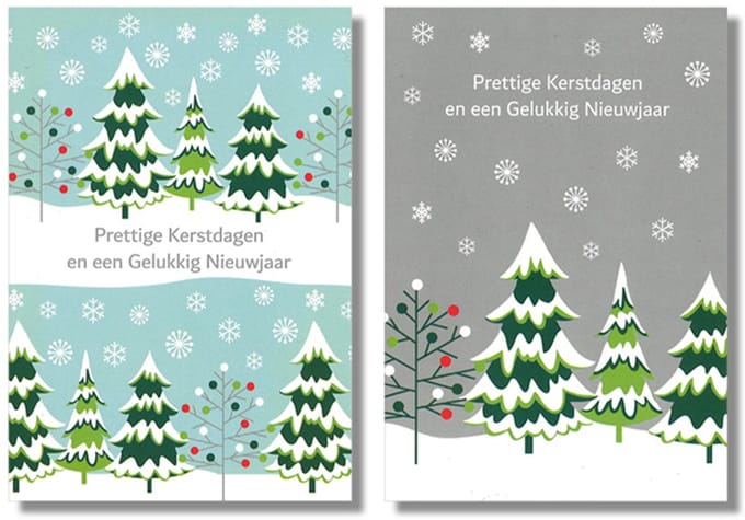 MGPcards - 10 Dubbele wenskaarten - Kerstkaarten / Nieuwjaar - Witte envelop - 10 x 14 cm - 2 Motieven per doosje