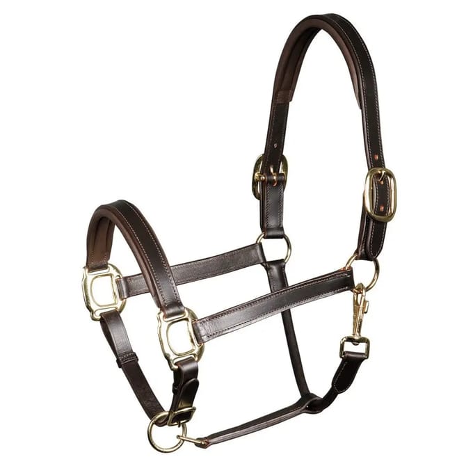 Gewatteerd lederen halster voor paarden Harry's Horse