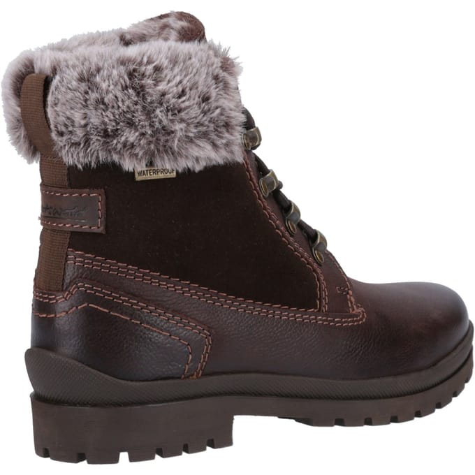 Cotswold Evenlode Leren Dames Bruine Winter Enkellaarsjes