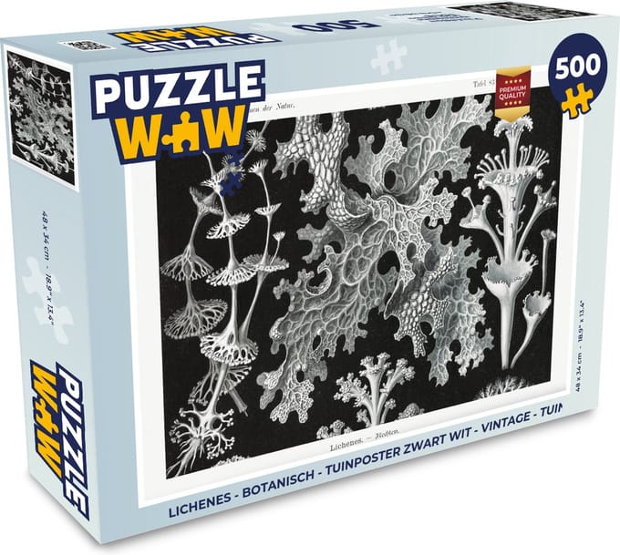 Puzzel Kunst - Koraal - Ernst Haeckel - Oude meesters - Natuur - Legpuzzel - Puzzel 500 stukjes