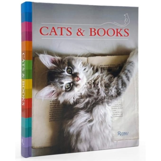 Cats And Books - Universe Universe