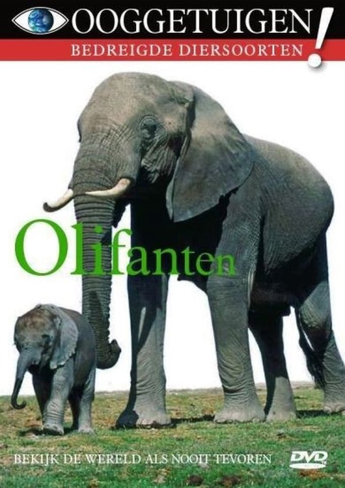 Ooggetuigen - Olifanten (DVD)