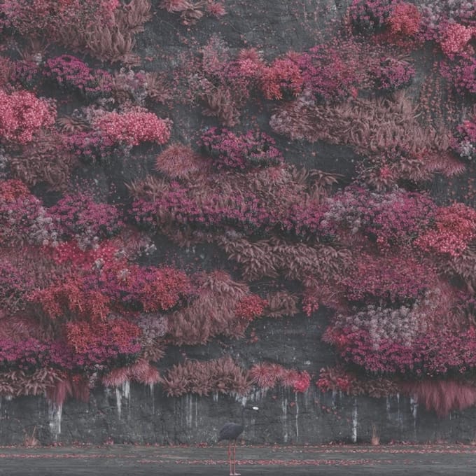 Sleep Token LP - Even In Arcadia - voor Geen - standaard