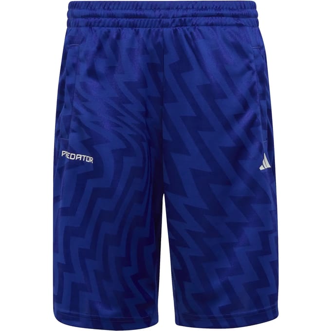 Adidas Predator Korte Broek Blauw 11-12 Years Kinderen