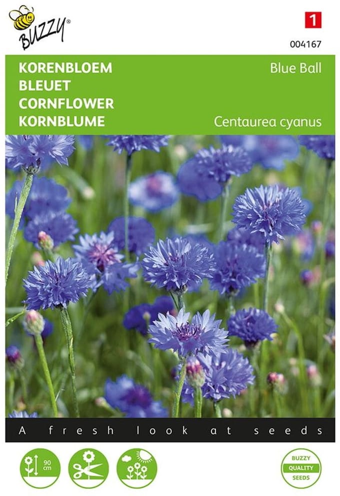 Korenbloem Blue Ball - Centaurea cyanus